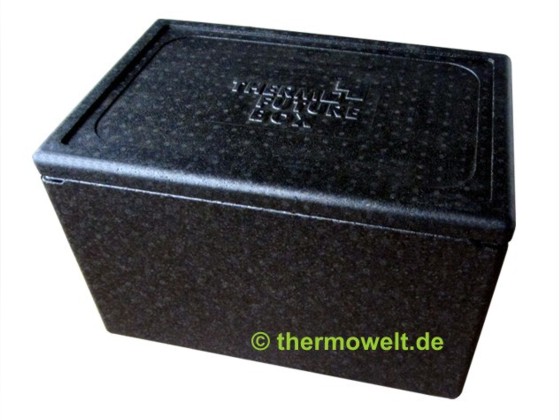Thermobox 1/1 GN 257mm